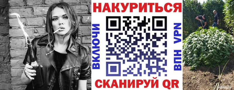 Каннабис план  продажа наркотиков  Малгобек 
